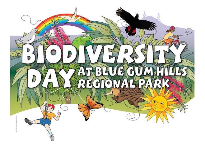 Water, trees, habitat, biodiversity and economic growth – Munibung Hill ...