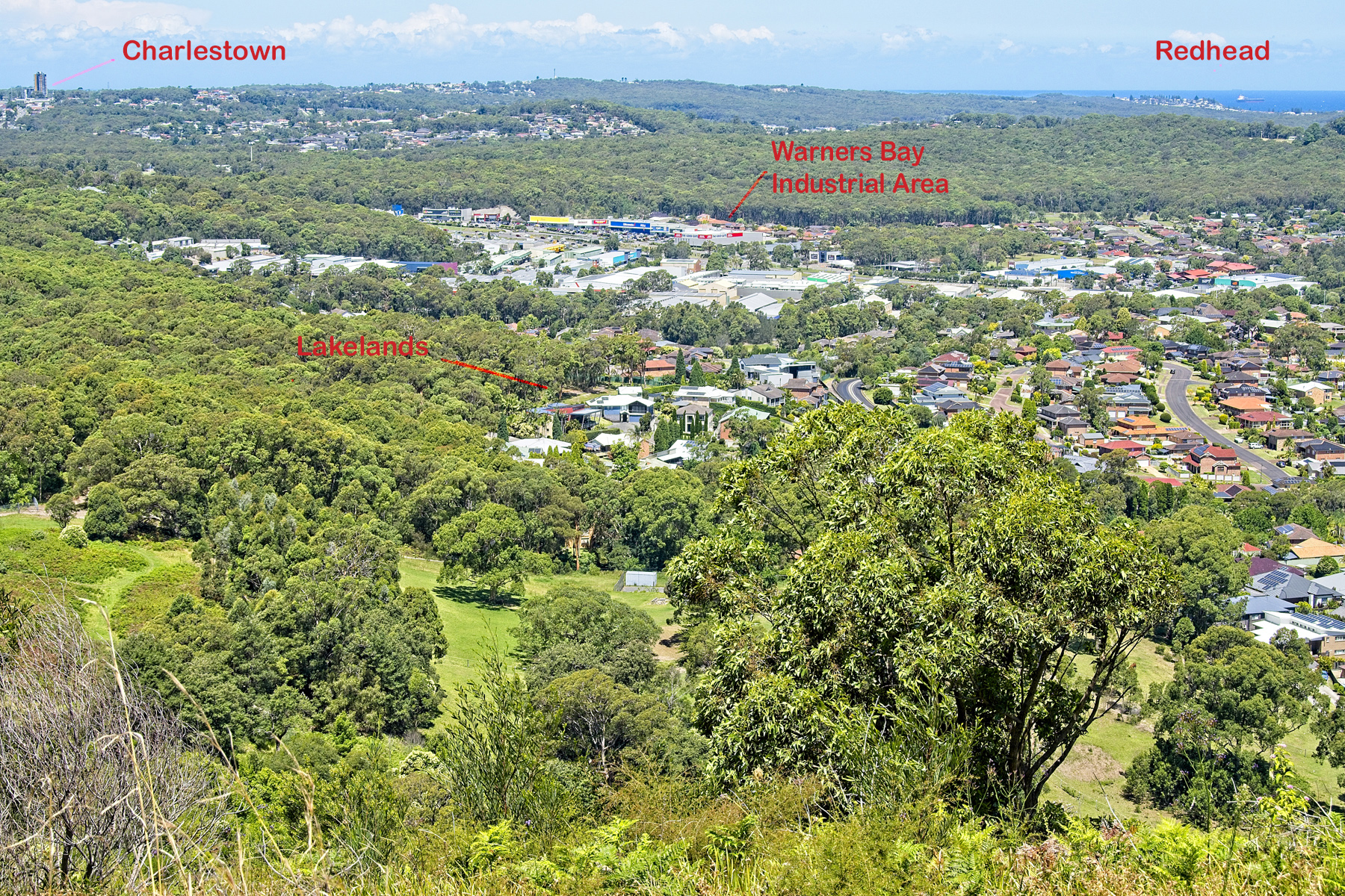 Read more about the article View to Charlestown and Redhead