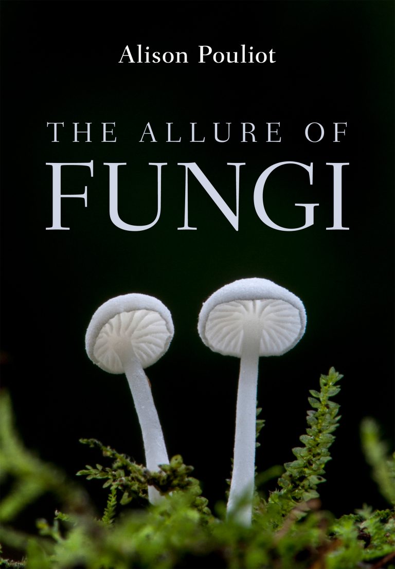 Read more about the article Making friends with fungi